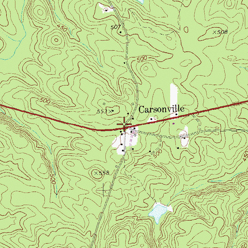 Topographic Map of Carsonville, GA