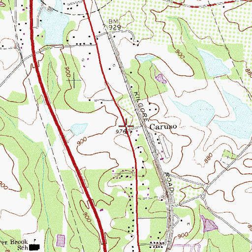 Topographic Map of Caruso, GA