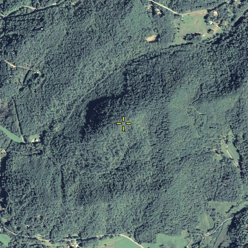 Aerial/Satellite Image of Cavender Mountain, GA