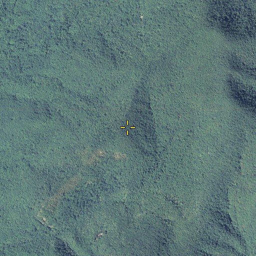 Aerial/Satellite Image of Cedar Mountain, GA
