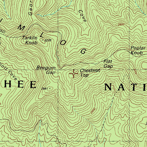 Topographic Map of Chestnut Top, GA