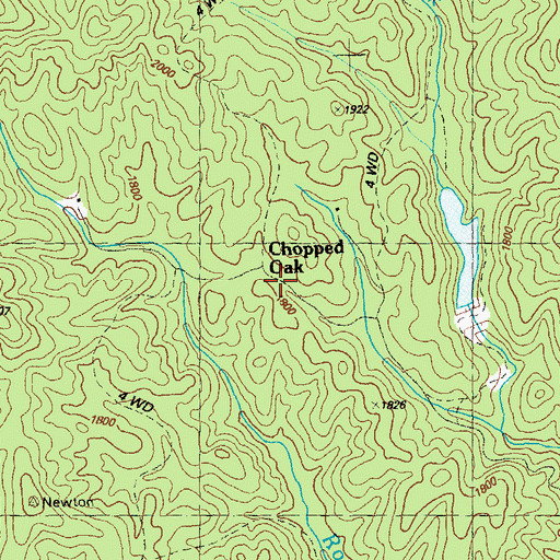 Topographic Map of Chopped Oak, GA