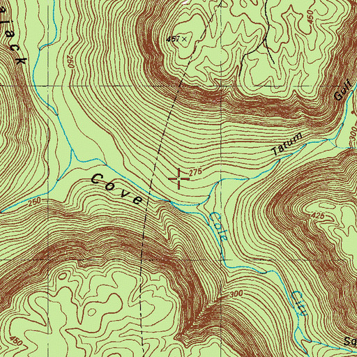 Topographic Map of Cole City, GA