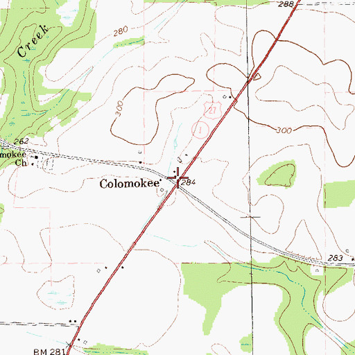 Topographic Map of Colomokee, GA