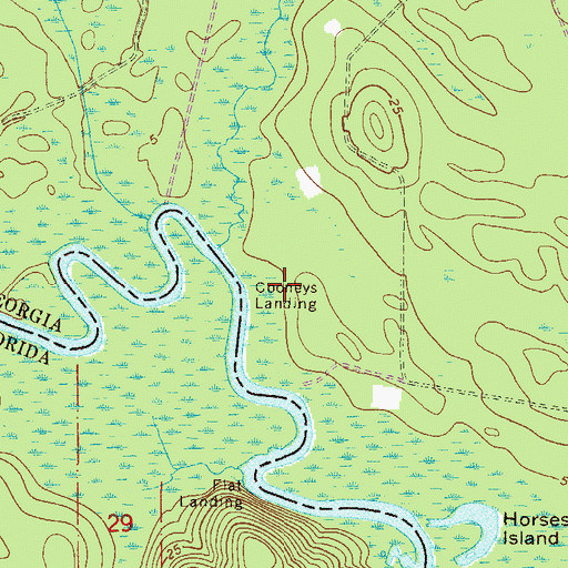 Topographic Map of Cooneys Landing, GA