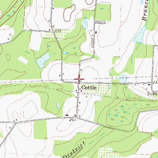 Topographic Map of Cottle, GA