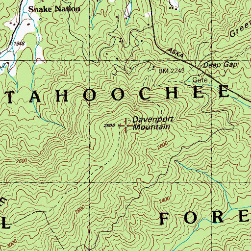 Topographic Map of Davenport Mountain, GA