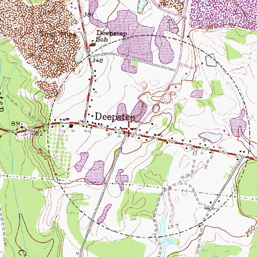 Topographic Map of Deepstep, GA