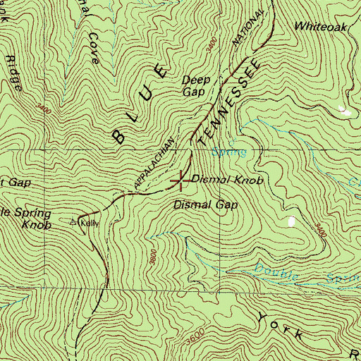 Topographic Map of Dismal Knob, GA
