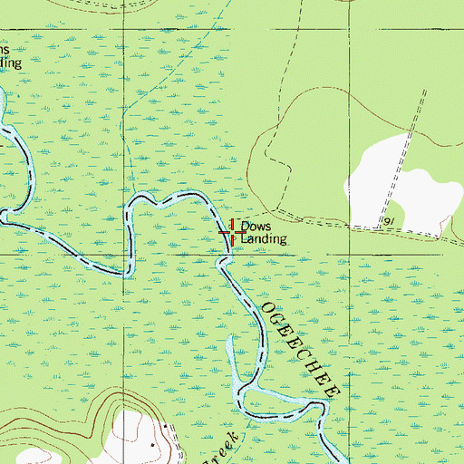 Topographic Map of Dows Landing, GA
