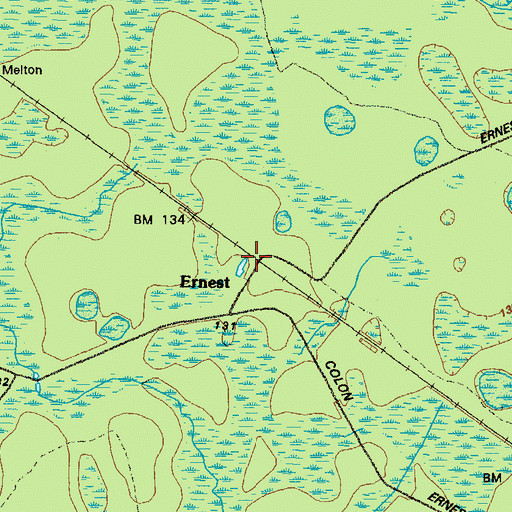 Topographic Map of Ernest, GA