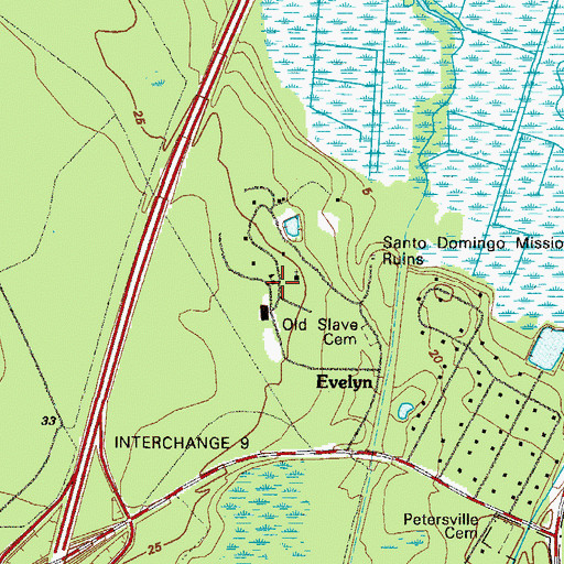 Topographic Map of Evelyn, GA