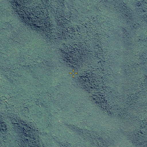 Aerial/Satellite Image of Fall Branch Knob, GA