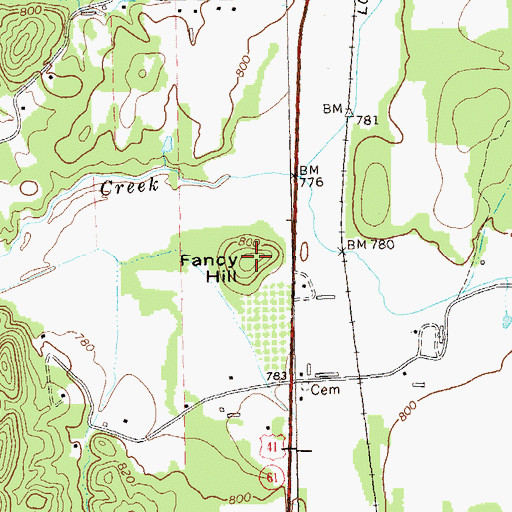 Topographic Map of Fancy Hill, GA