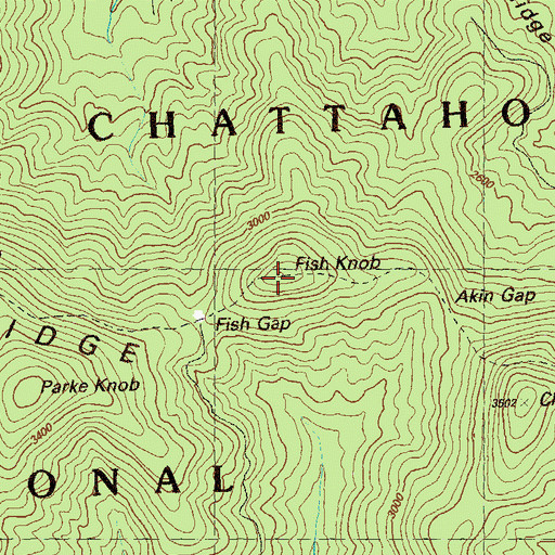 Topographic Map of Fish Knob, GA