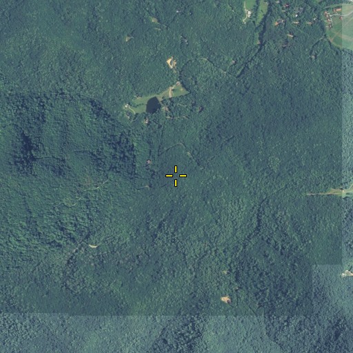 Aerial/Satellite Image of Fisher Knob, GA