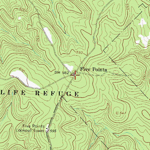 Topographic Map of Five Points, GA