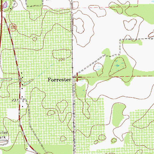 Topographic Map of Forrester, GA