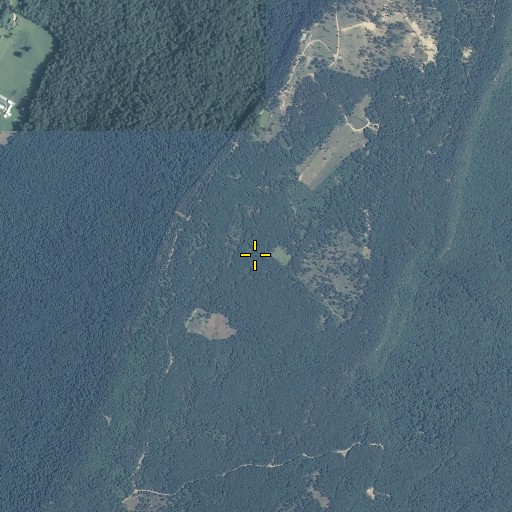 Aerial/Satellite Image of Fox Mountain, GA
