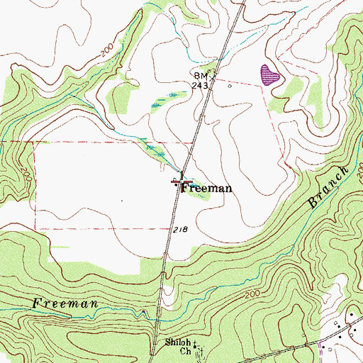 Topographic Map of Freeman, GA