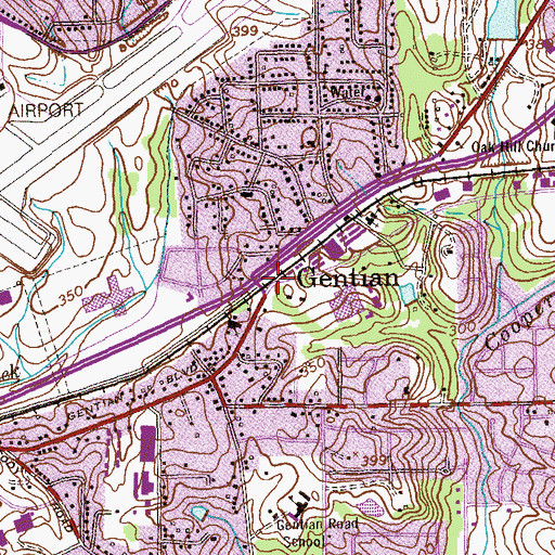 Topographic Map of Gentian, GA
