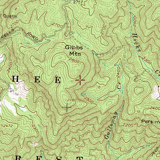 Topographic Map of Gibbs Mountain, GA
