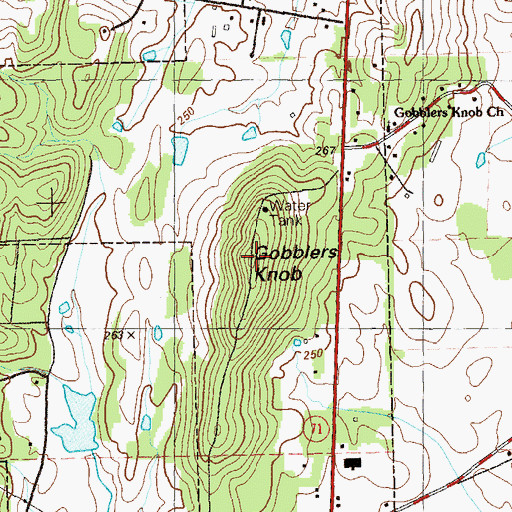 Topographic Map of Gobblers Knob, GA