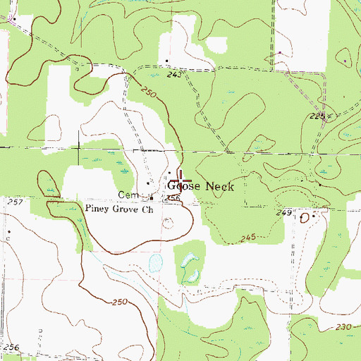 Topographic Map of Goose Neck, GA