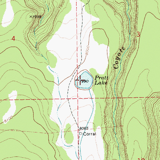 Topographic Map of Pratt Lake, AZ