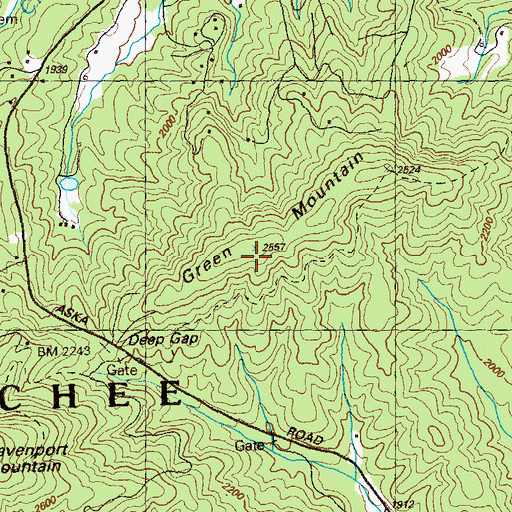 Topographic Map of Green Mountain, GA