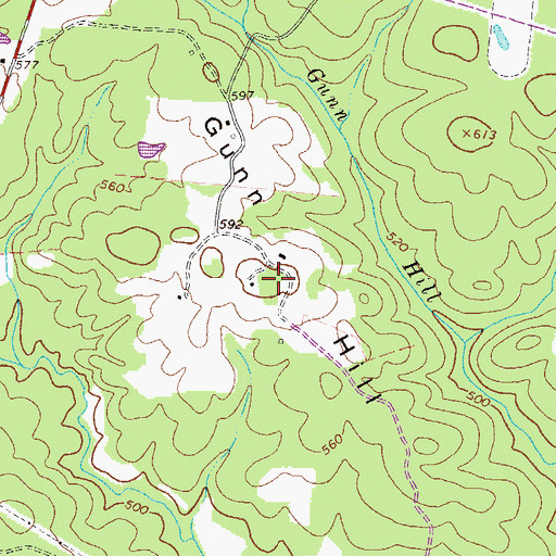 Topographic Map of Gunn Hill, GA