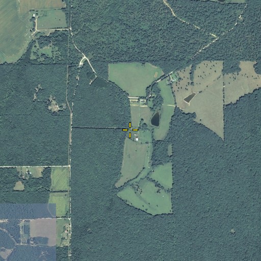 Aerial/Satellite Image of Head River, GA