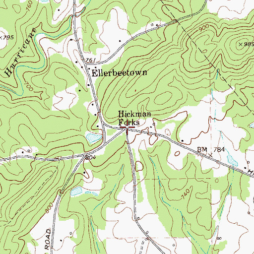 Topographic Map of Hickman Forks, GA