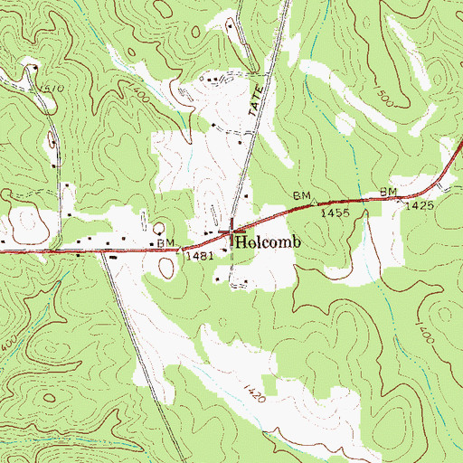 Topographic Map of Holcomb, GA