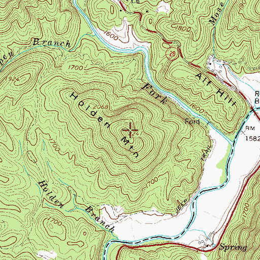 Topographic Map of Holden Mountain, GA
