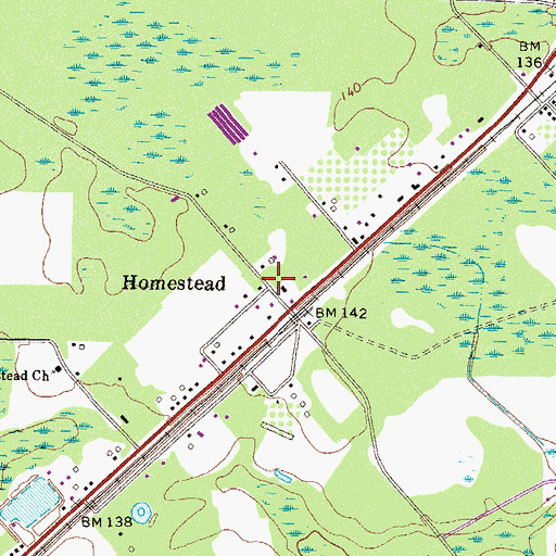 Topographic Map of Homestead, GA