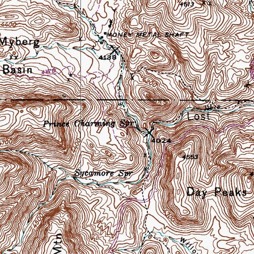 Topographic Map of Prince Charming Spring, AZ