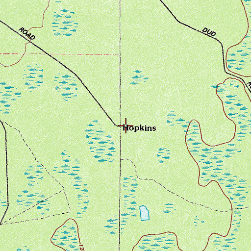Topographic Map of Hopkins, GA