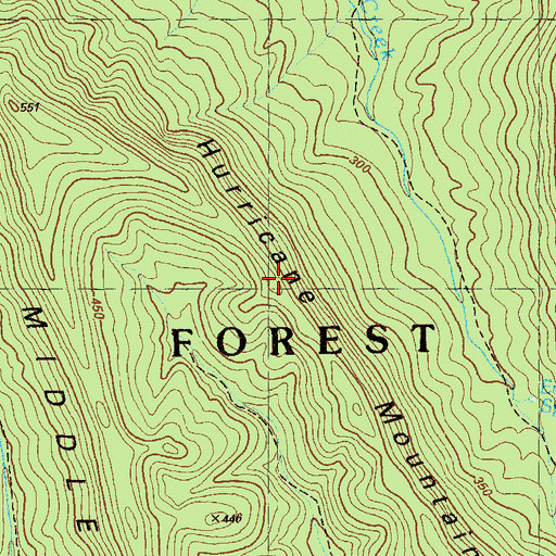Topographic Map of Hurricane Mountain, GA