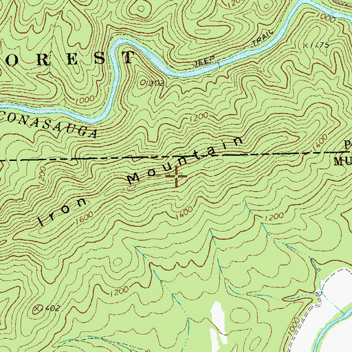 Topographic Map of Iron Mountain, GA