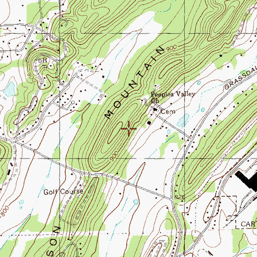 Topographic Map of Johnson Mountain, GA