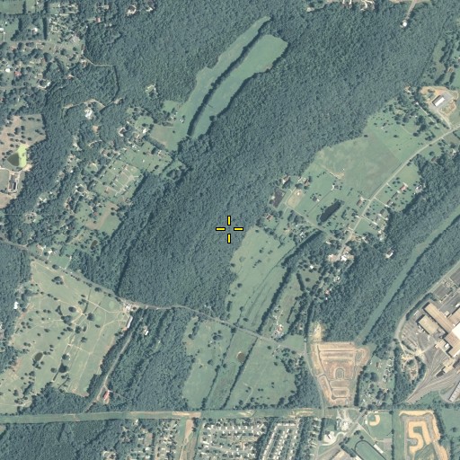 Aerial/Satellite Image of Johnson Mountain, GA