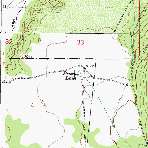 Topographic Map of Prong Lake, AZ