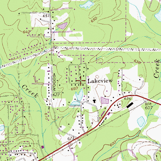 Topographic Map of Lakeview, GA