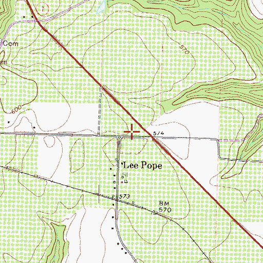 Topographic Map of Lee Pope, GA