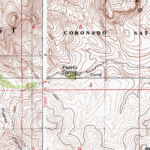 Topographic Map of Puerto Spring, AZ
