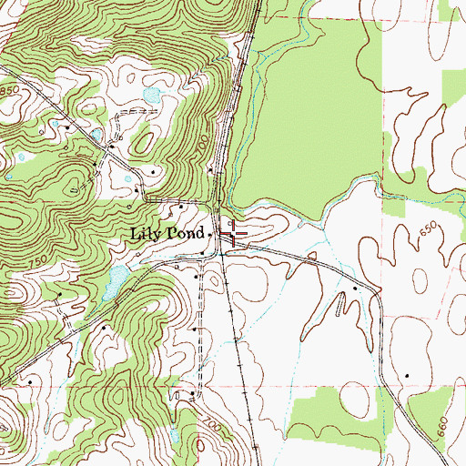 Topographic Map of Lily Pond, GA