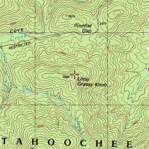 Topographic Map of Little Grassy Knob, GA