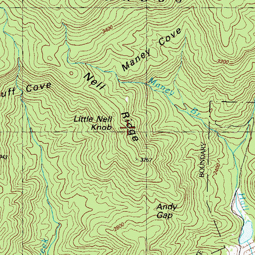 Topographic Map of Little Nell Knob, GA