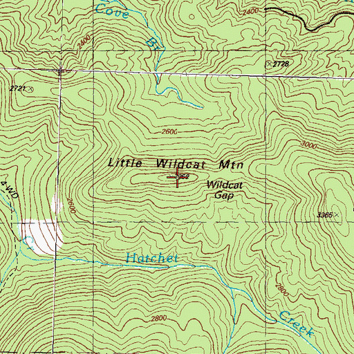 Topographic Map of Little Wildcat Mountain, GA
